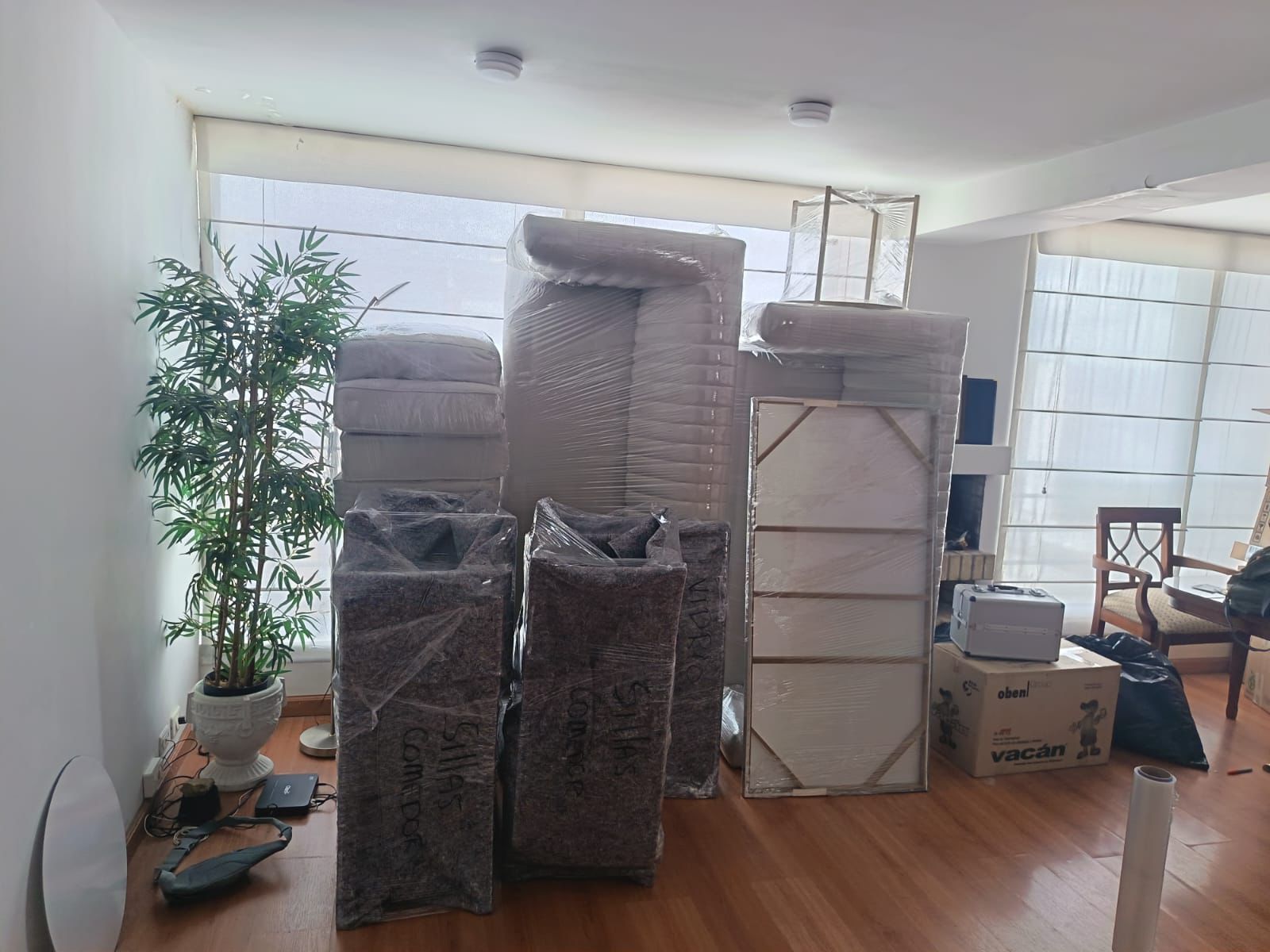 Embalaje Profesional